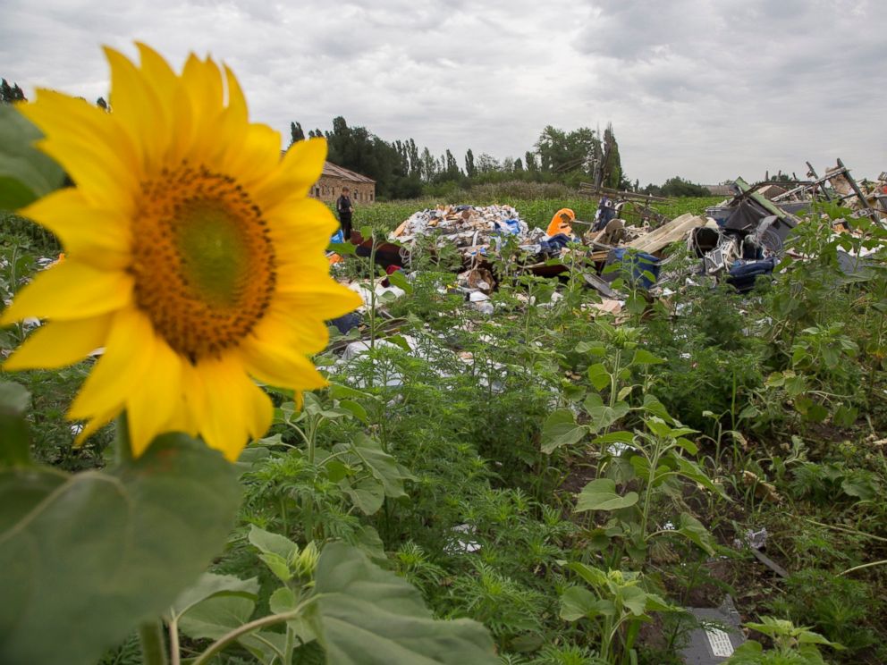 PHOTO: A policeman inspects the site of a crashed Malaysia Airlines passenger plane near the village of Rozsypne, Ukraine, eastern Ukraine Friday, July 18, 2014.