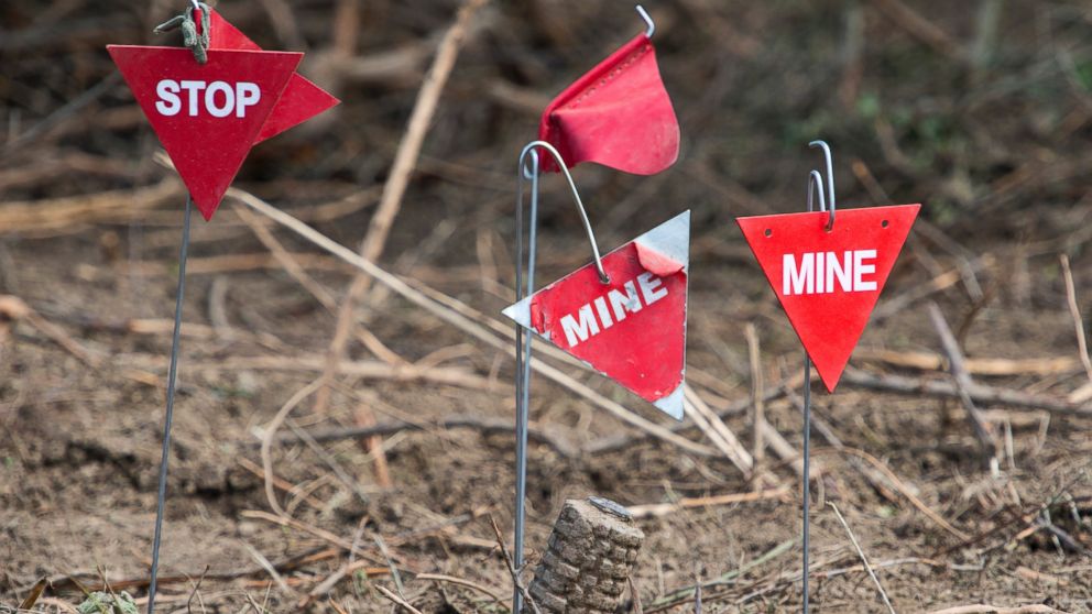 PHOTO: Landmines are found and marked in a minefield near Lasinja, Croatia, in this file photo, May 29, 2013. 