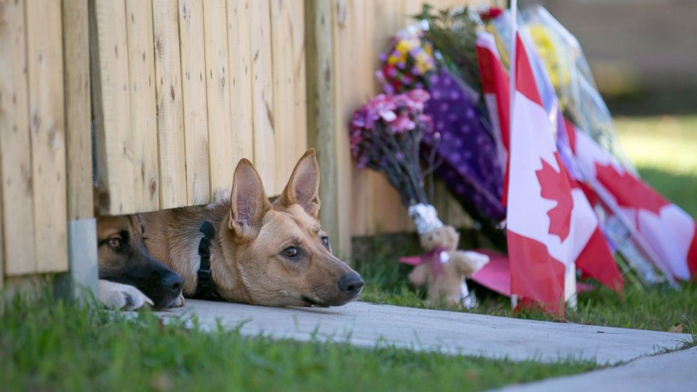 PHOTO: Dogs peek out from under a gate at the Cirillo family home in Hamilton, Ontario near flowers and flags that have been left out, Oct. 23, 2014.