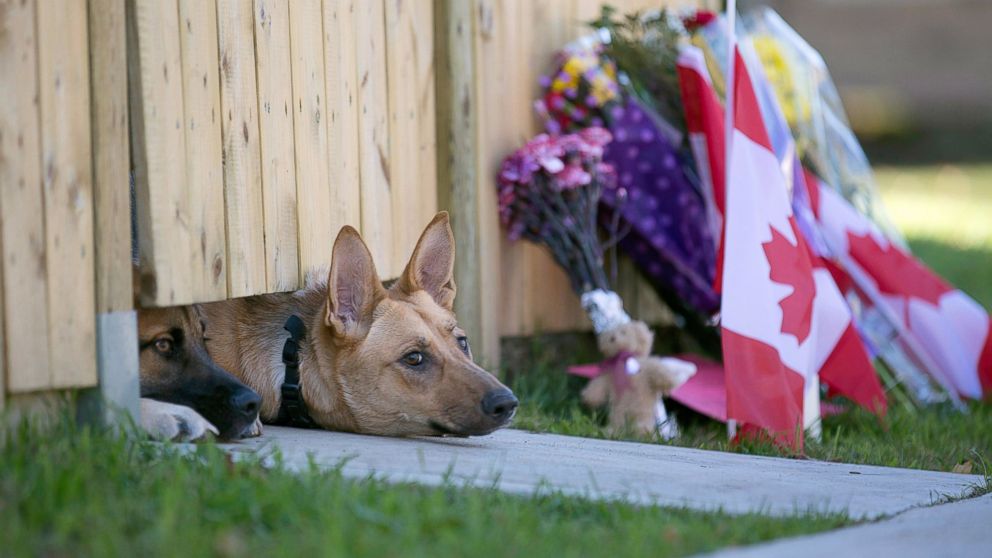 Dogs peek out from under a gate at the Cirillo family home in Hamilton, Ontario near flowers and flags that have been left out, Oct. 23, 2014.