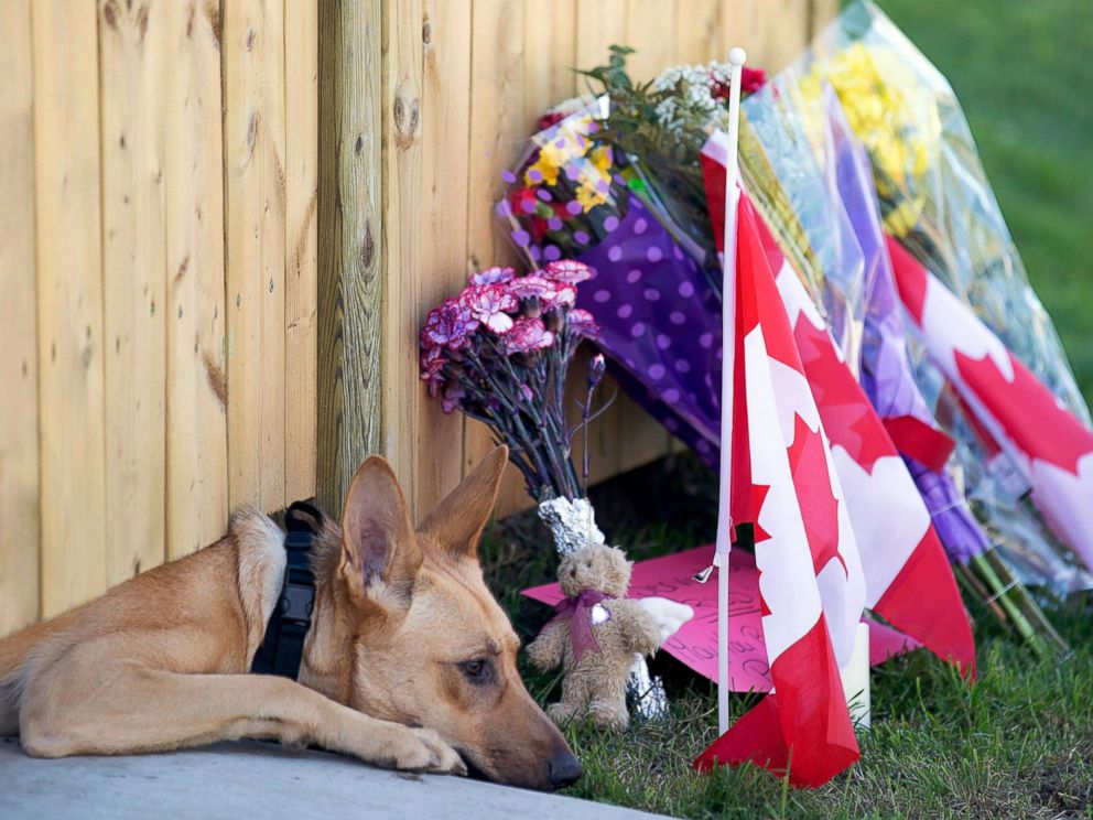PHOTO: Dogs peek out from under a gate at the Cirillo family home in Hamilton, Ontario near flowers and flags that have been left out, Oct. 23, 2014.