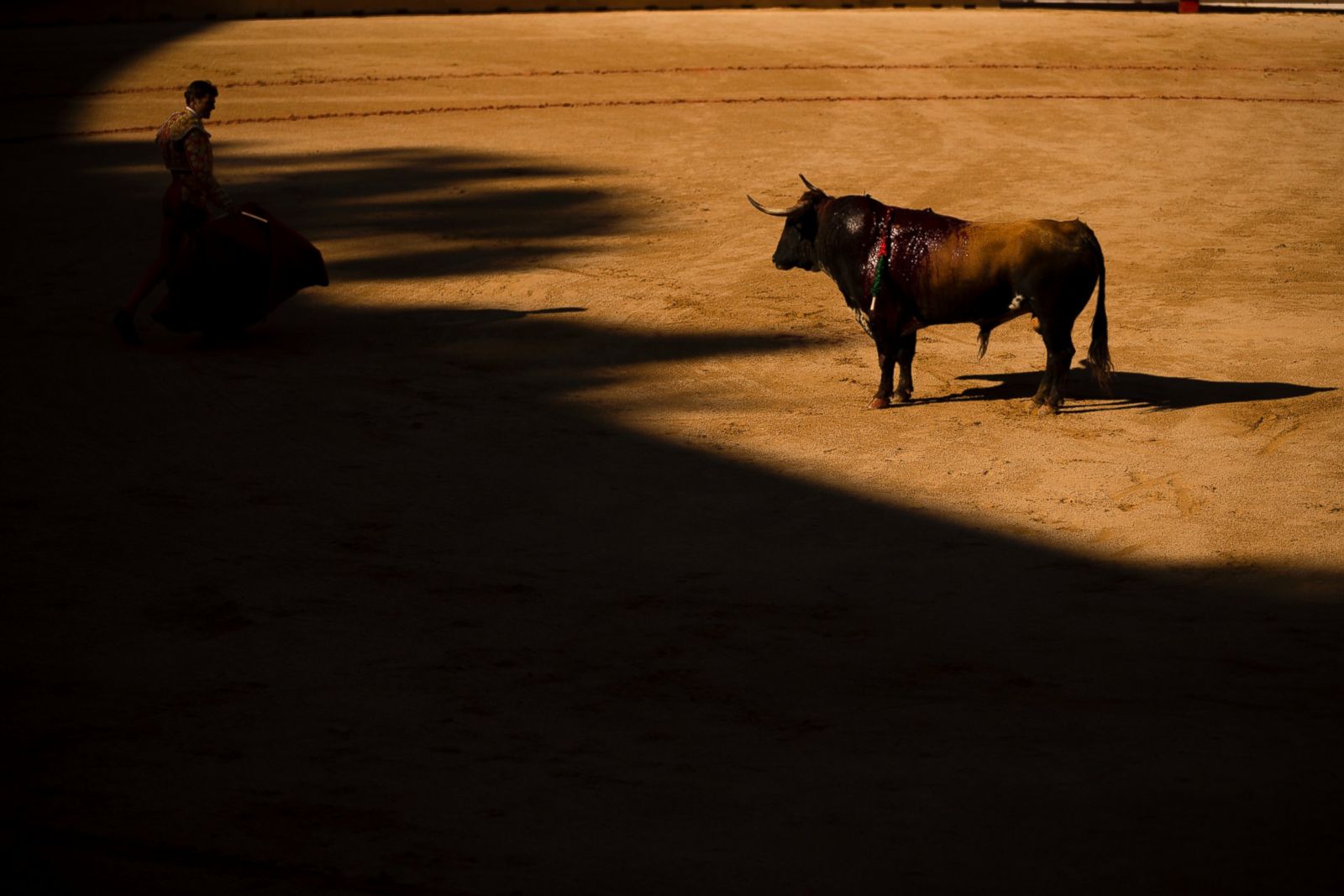 Running Of The Bulls In Pamplona - ABC News