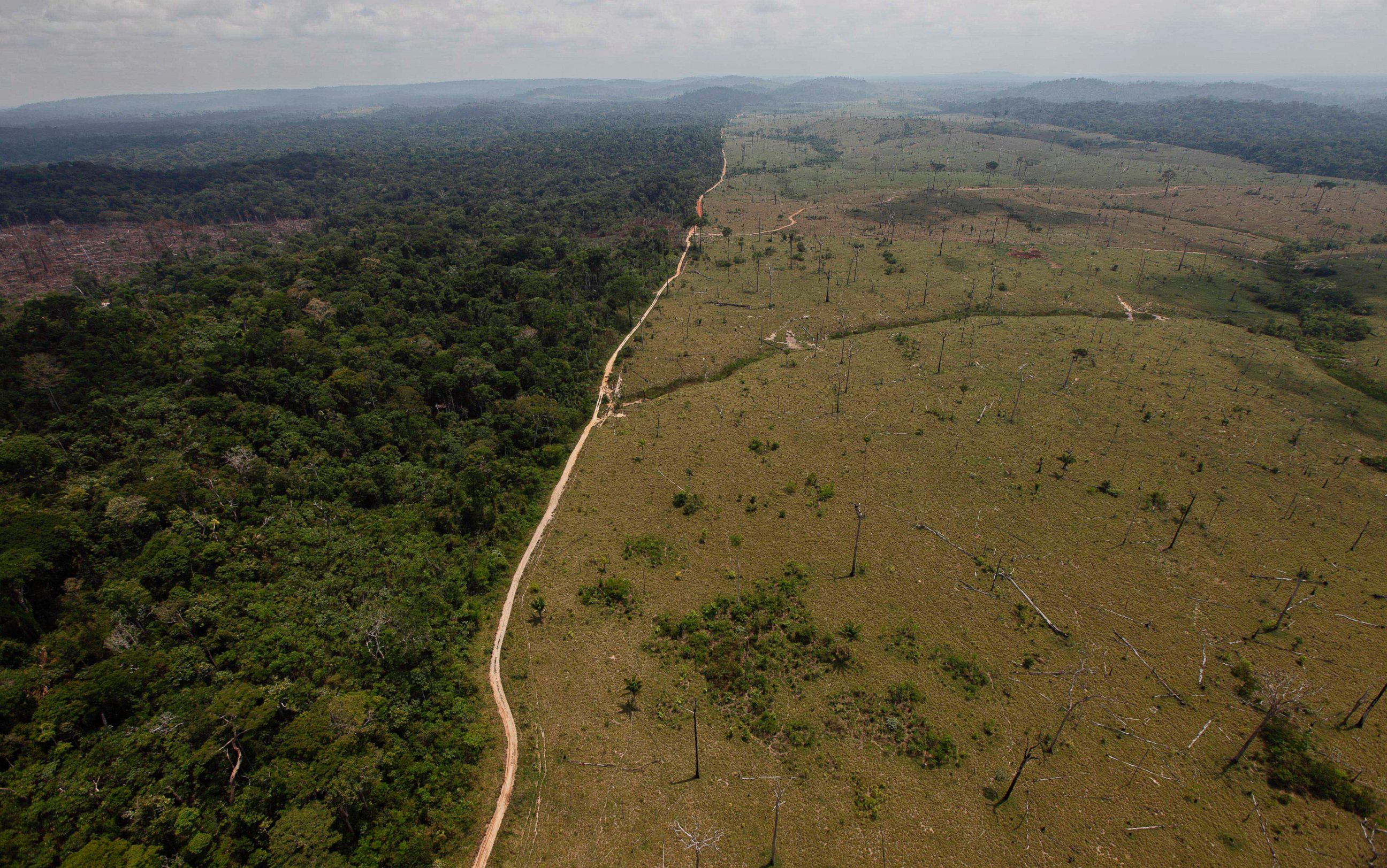 PHOTO: This Sept. 15, 2009 file photo shows a deforested area near Novo Progresso in Brazil's northern state of Para.