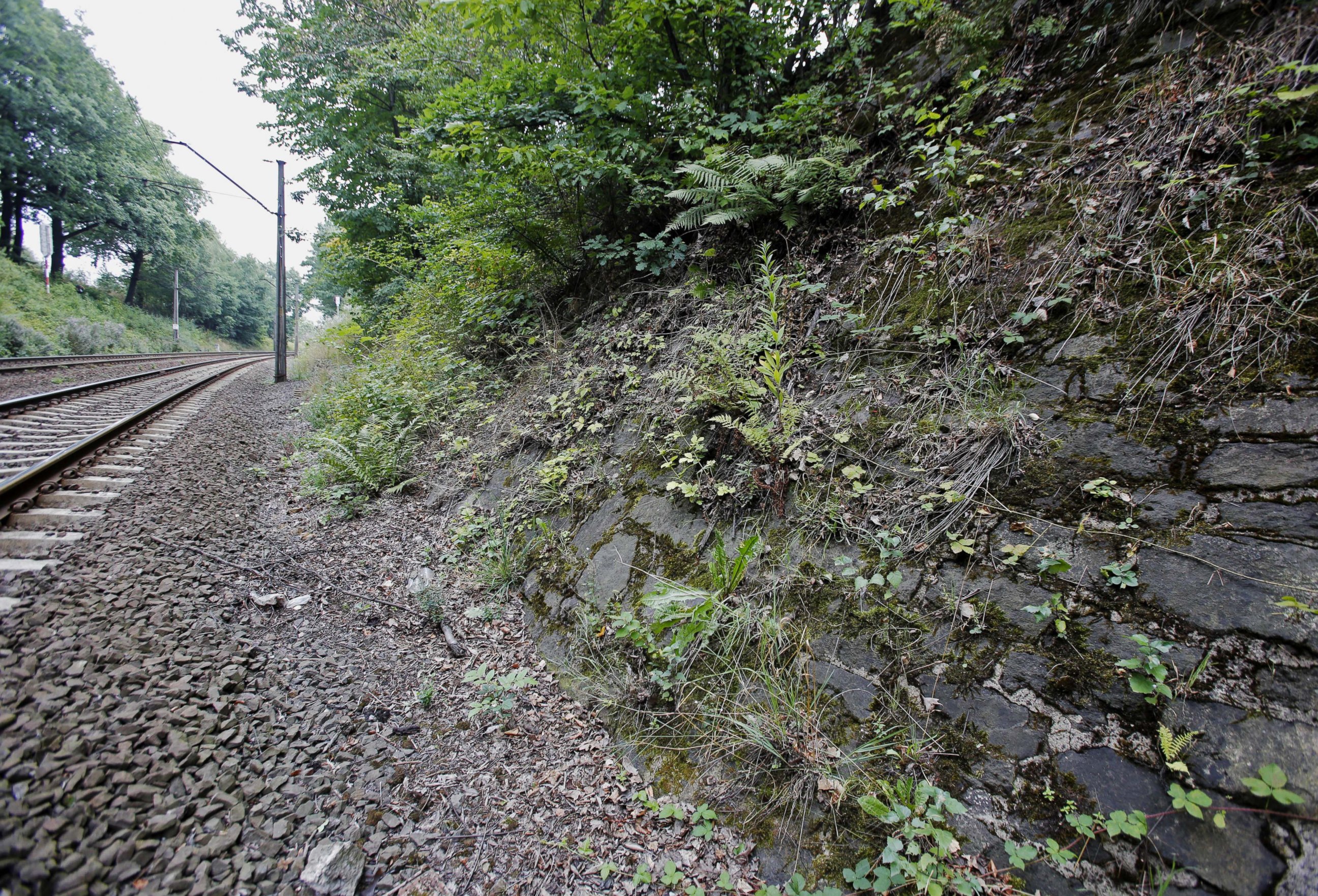 PHOTO: The potential site where a Nazi gold train is believed to be hidden, near the city of Walbrzych, Poland, Aug. 28, 2015. 