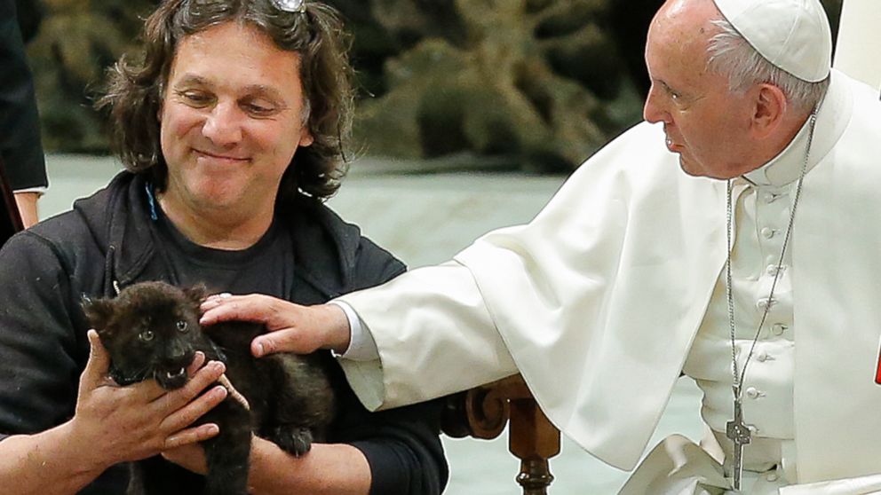 PHOTO: Pope Francis pets a panther cub during his audience to the "World of Traveling Shows" at Paul VI Hall at the Vatican, June 16, 2016.