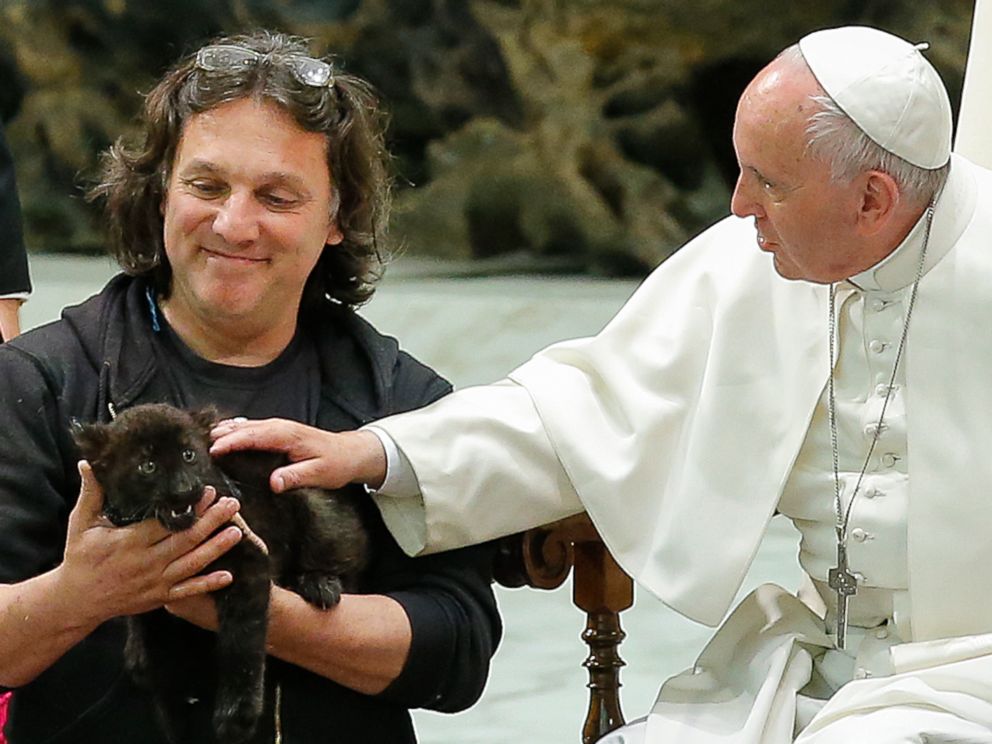 PHOTO: Pope Francis pets a panther cub during his audience to the "World of Traveling Shows" at Paul VI Hall at the Vatican, June 16, 2016.