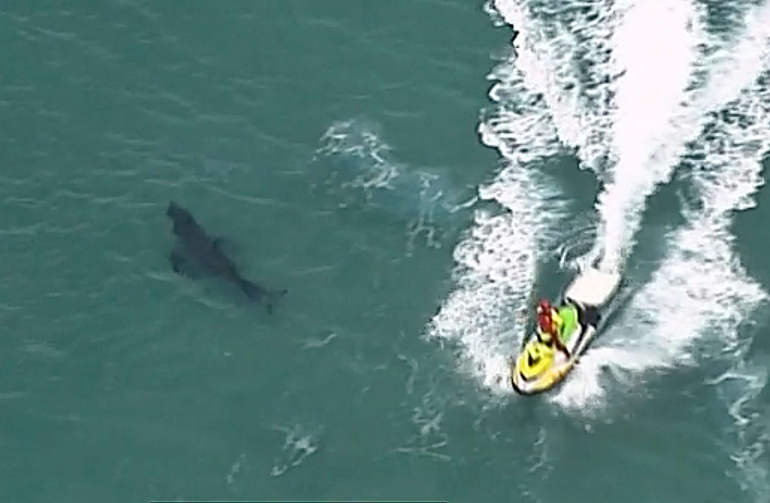 PHOTO: A jet ski passes over a shark swimming along the coast of Kingscliff, New South Wales, Australia, Sunday, June 7, 2020. A surfer, 60, was attacked and killed by a 3-meter (10-foot) shark off the coast of northern New South Wales state on Sunday.