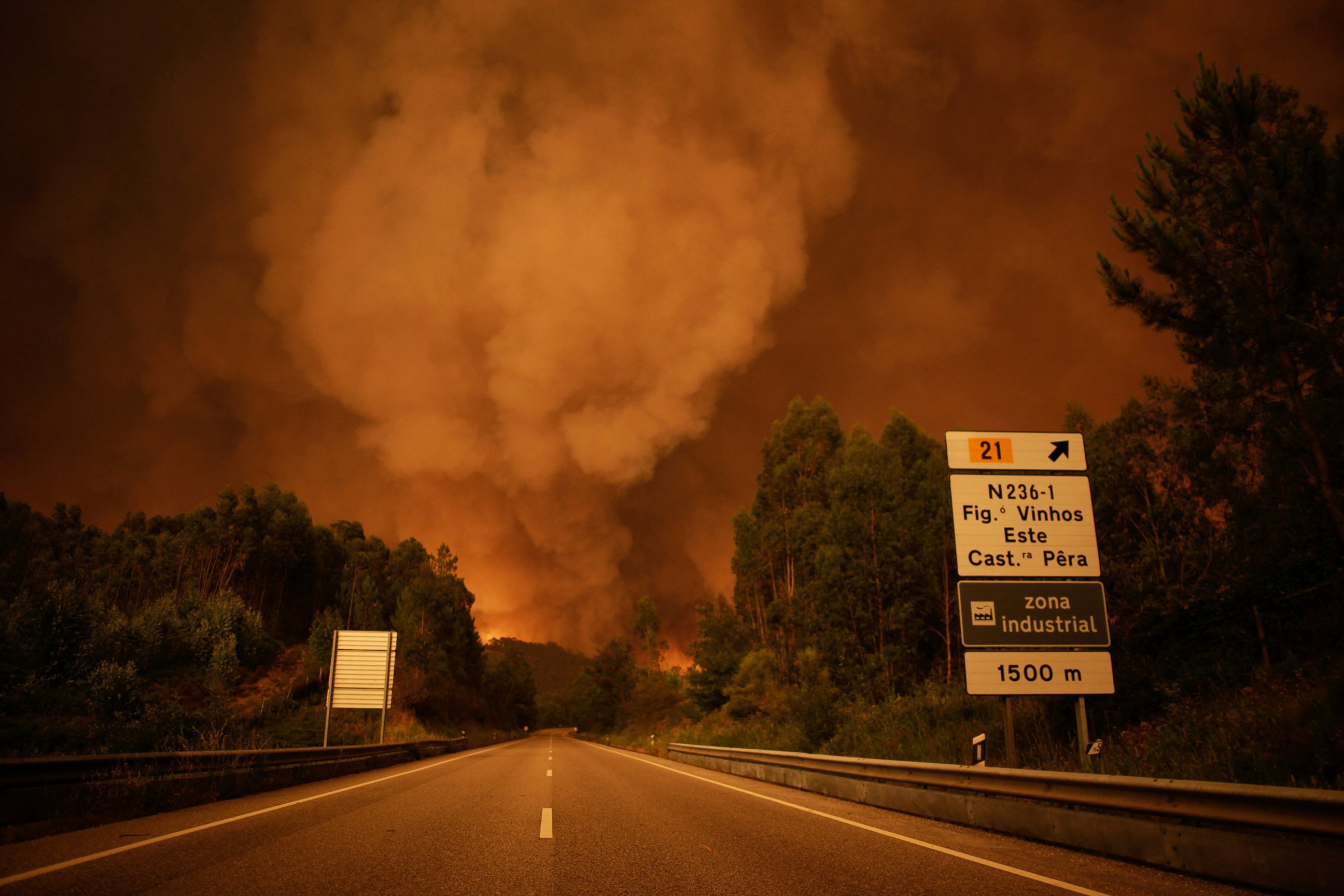 PHOTO: Smoke rises above trees during a forest fire in Pedrogao Grande, Leiria District, Portugal, June 17, 2017. 