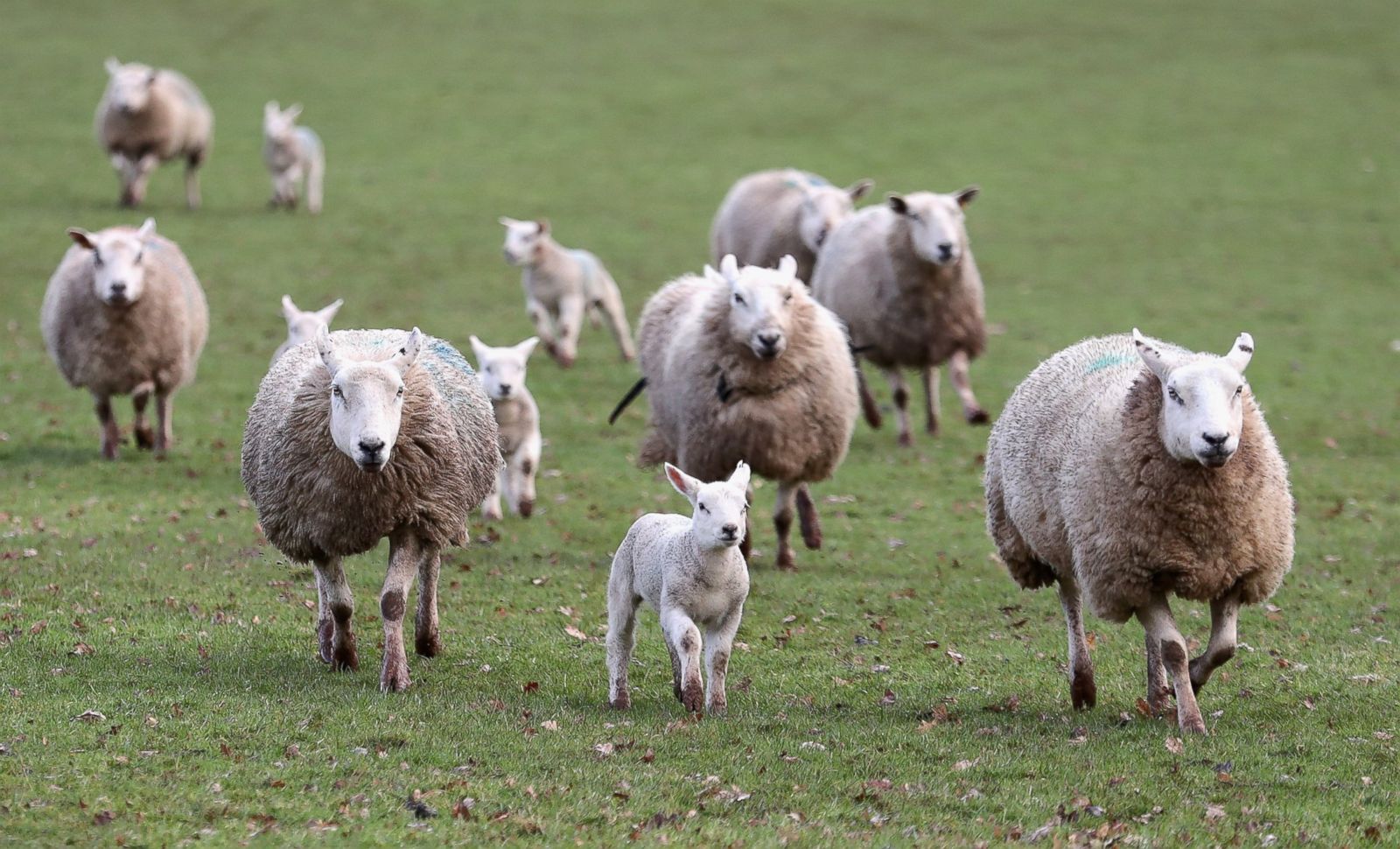 Celebrating Spring In Pictures Photos Abc News