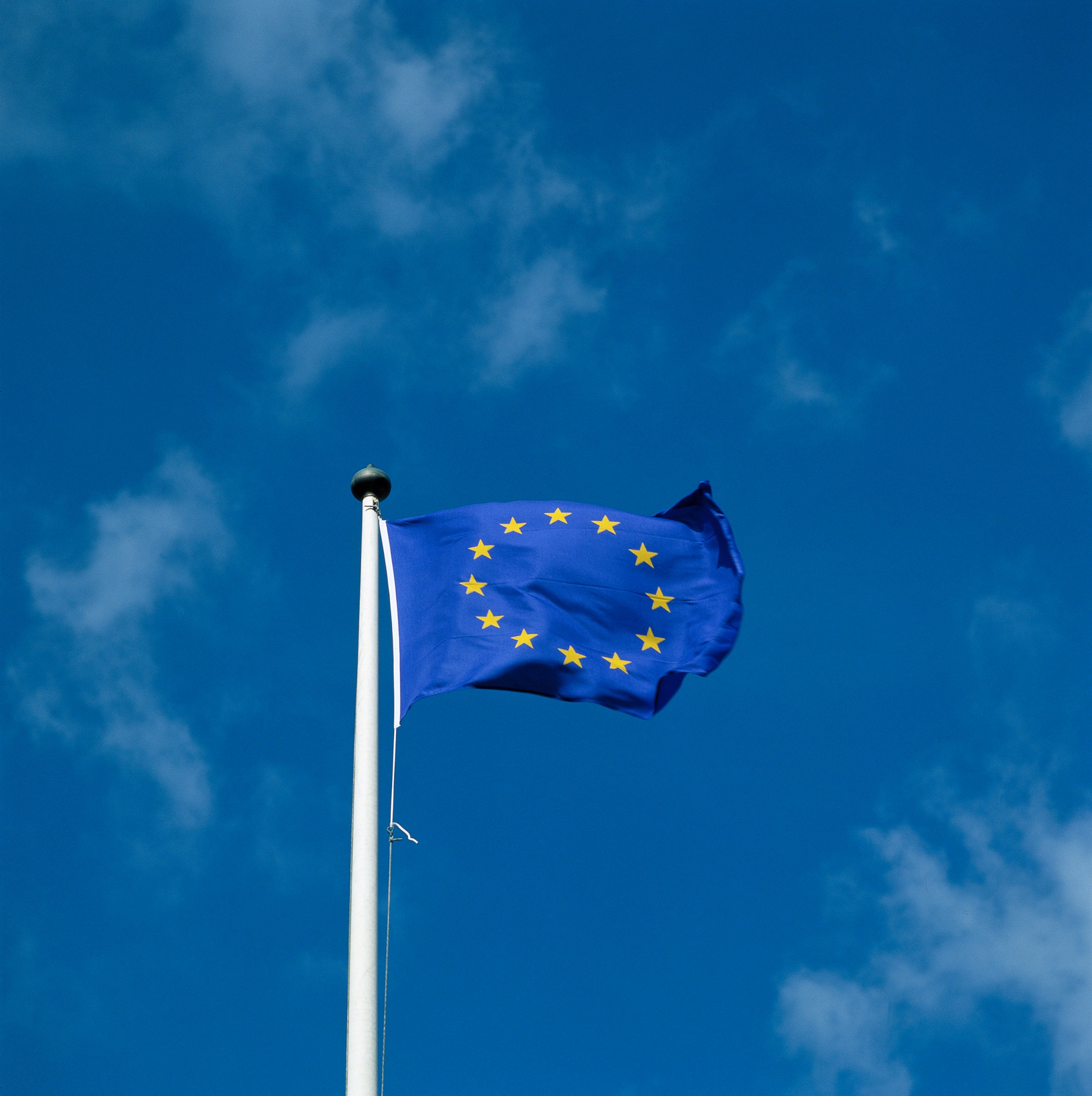PHOTO: The European Union flag is pictured in this undated stock photo.
