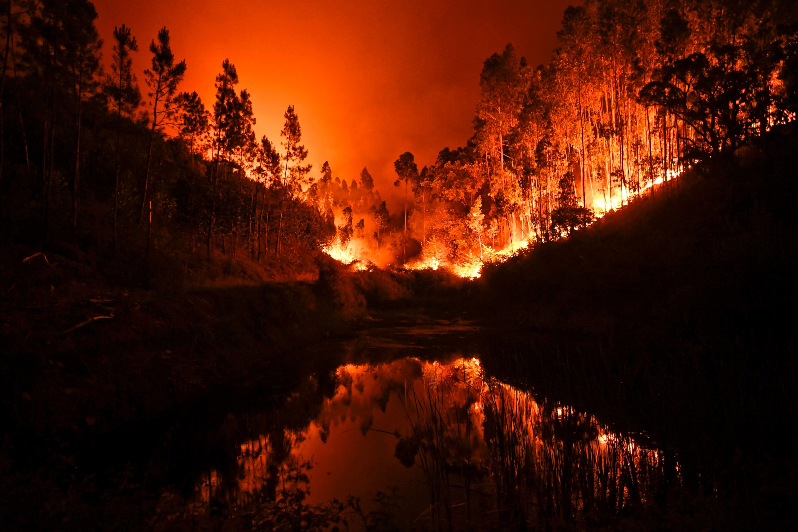 PHOTO: A wildfire is reflected in a stream at Penela, Coimbra, central Portugal, on June 18, 2017. 