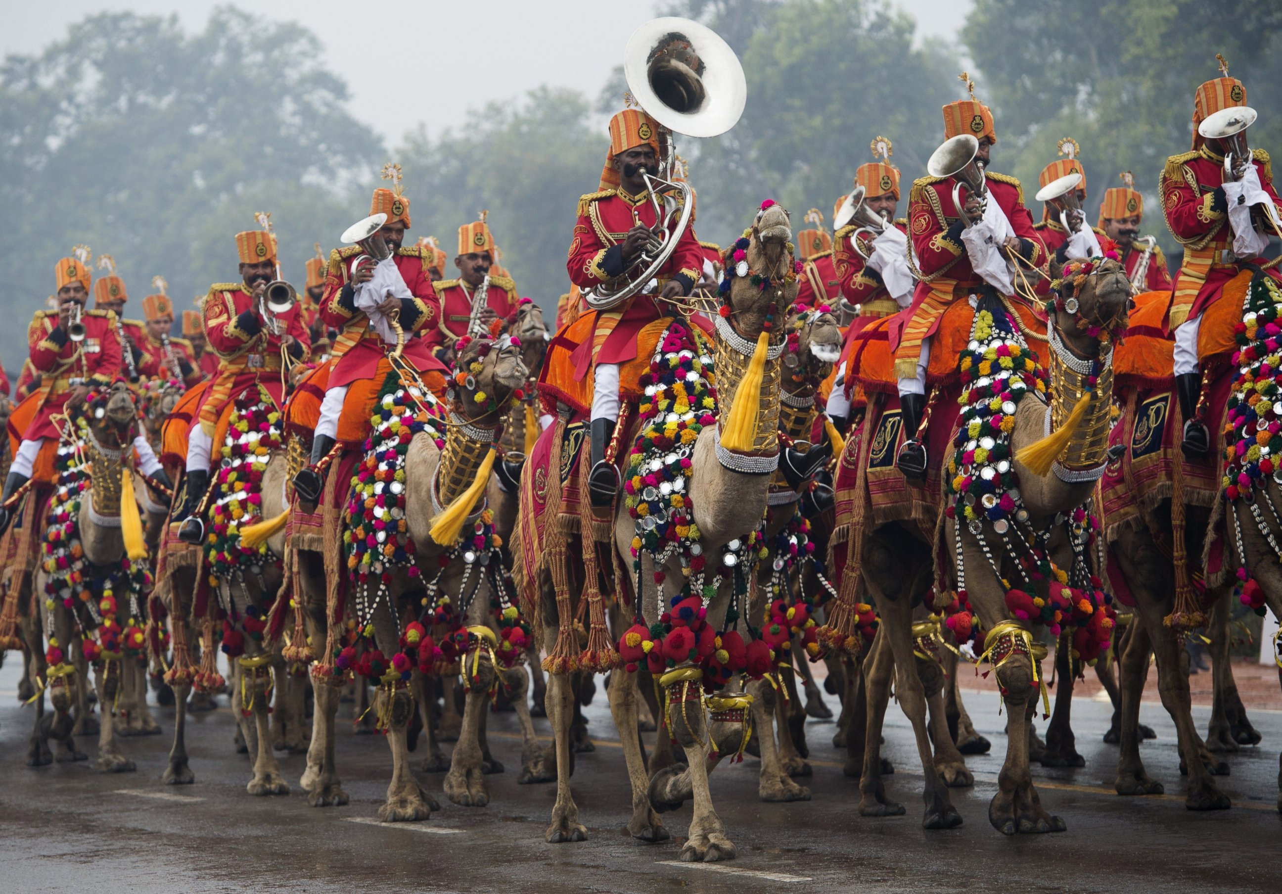 PHOTO: An Indian military band plays while riding camels during the nation's Republic Day Parade in New Delhi on January 26, 2015.