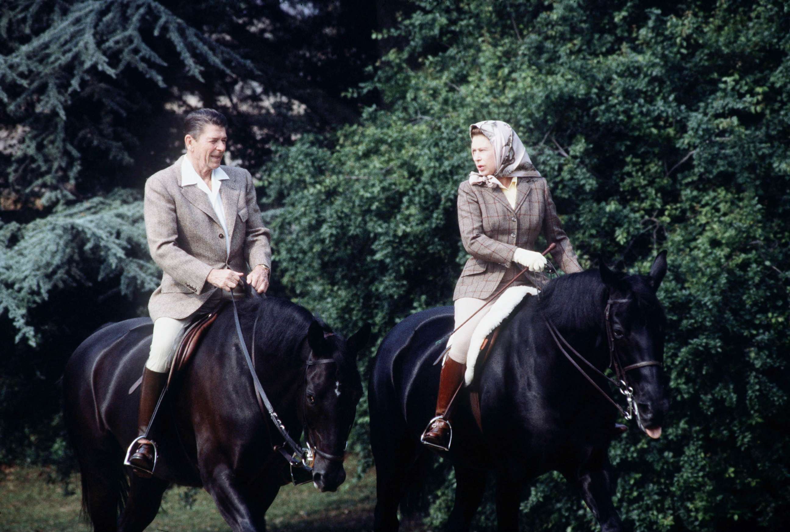 PHOTO: The queen rides with President Ronald Reagan on the grounds of Windsor Castle during his state visit on June 8, 1982.