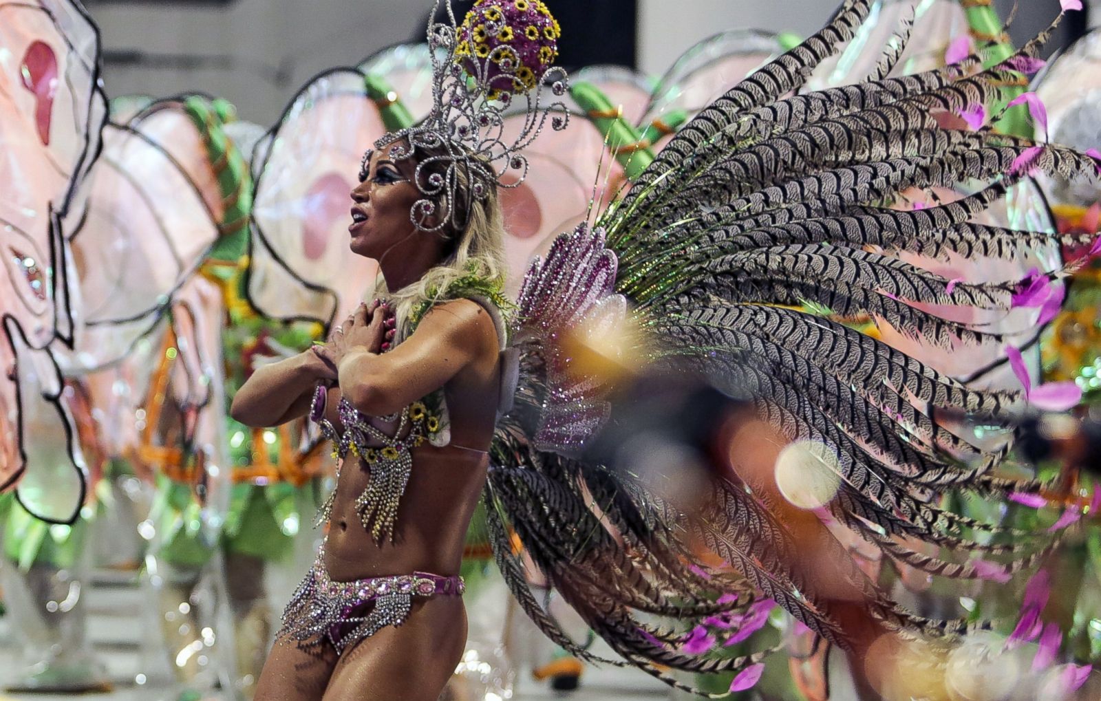 2014 Carnival In Brazil Photos Image 101 ABC News