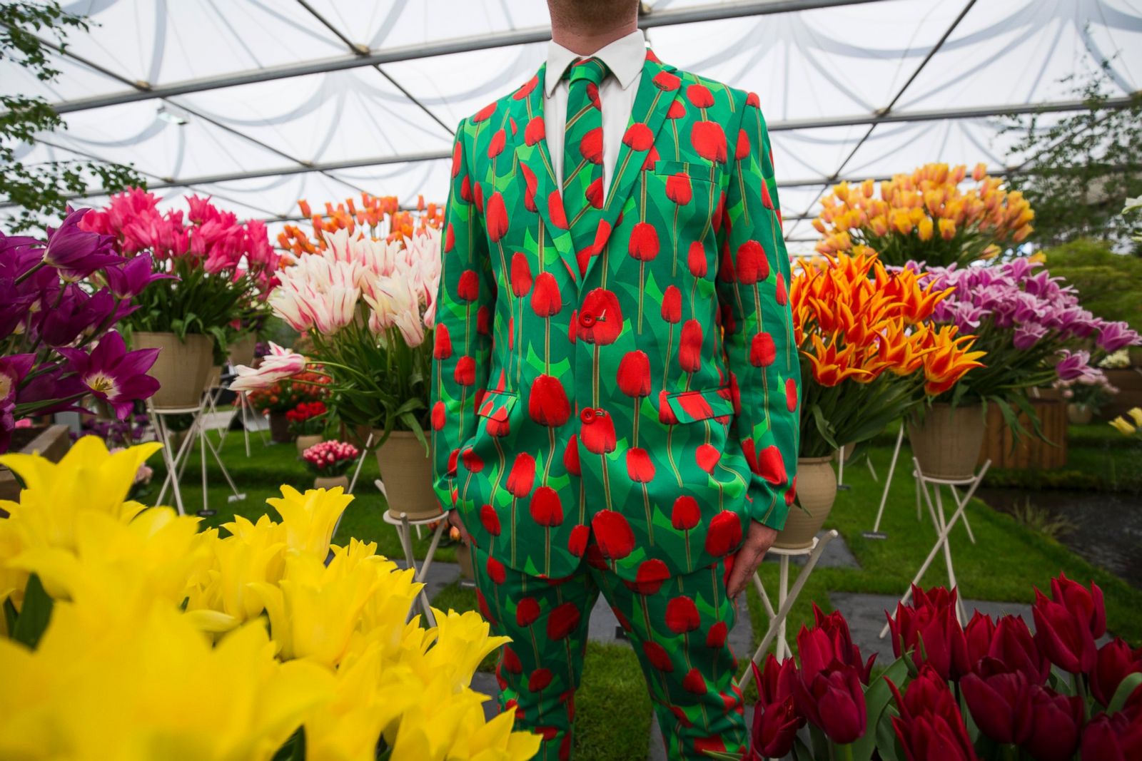 2016 Chelsea Flower Show Photos | Image #21 - ABC News