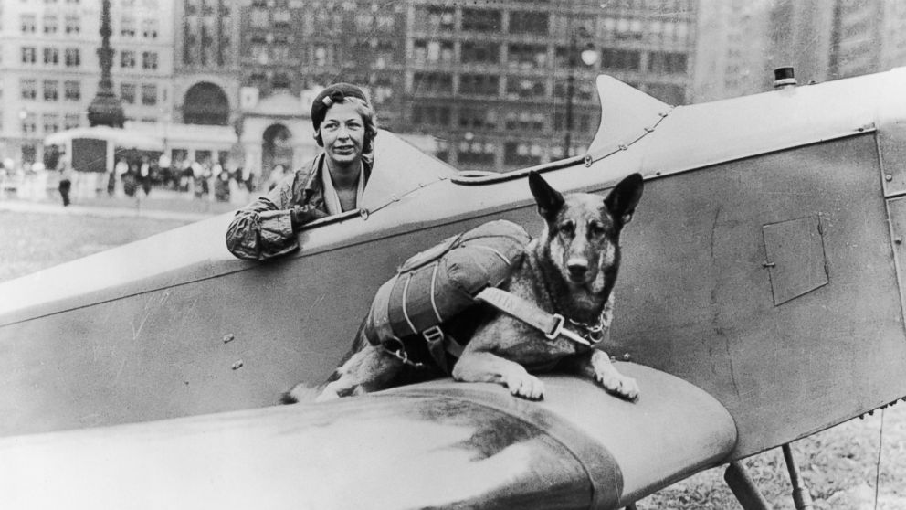 Parachutist dog seen here in this undated photo. 
