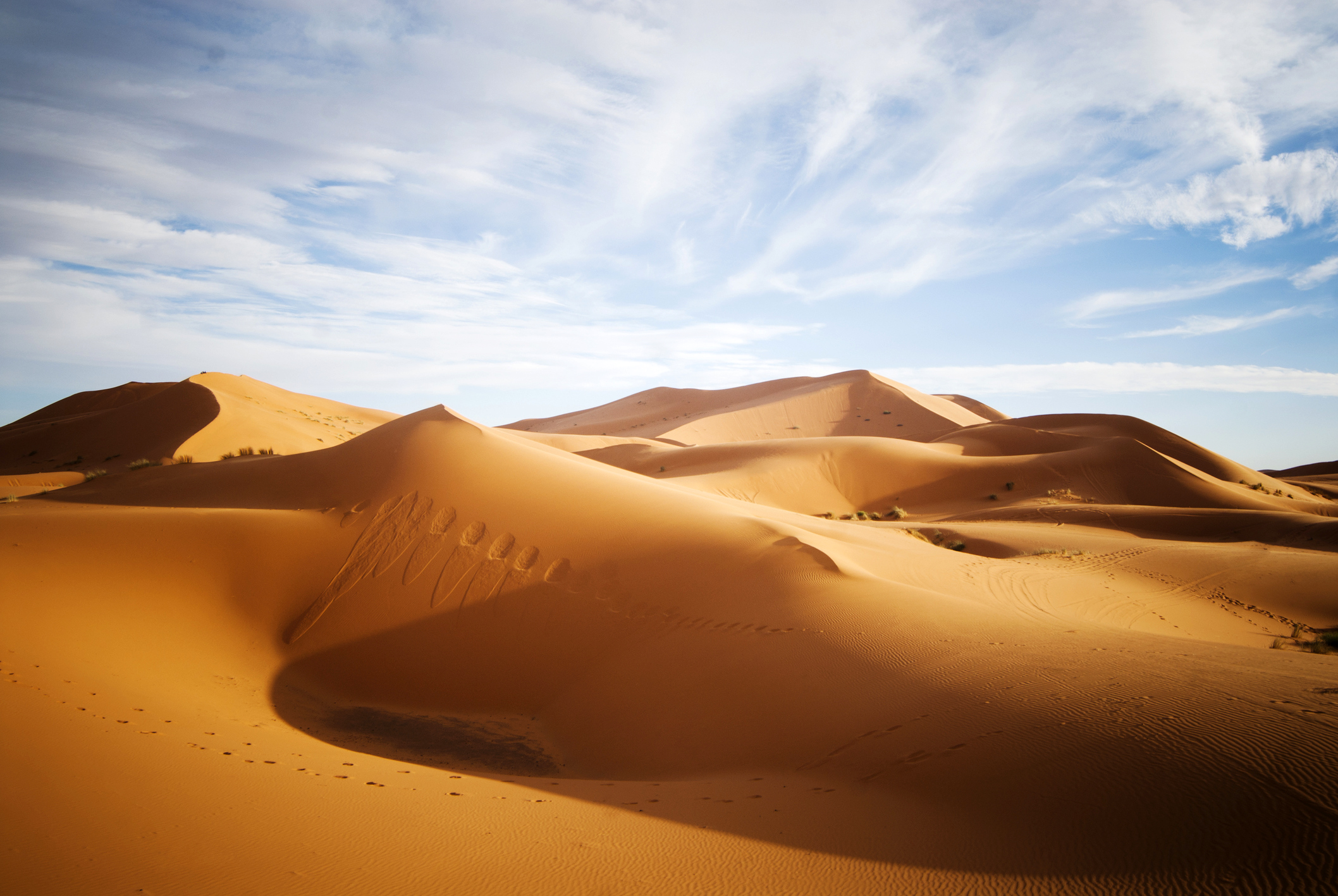 PHOTO: Landscape of the Sahara desert.