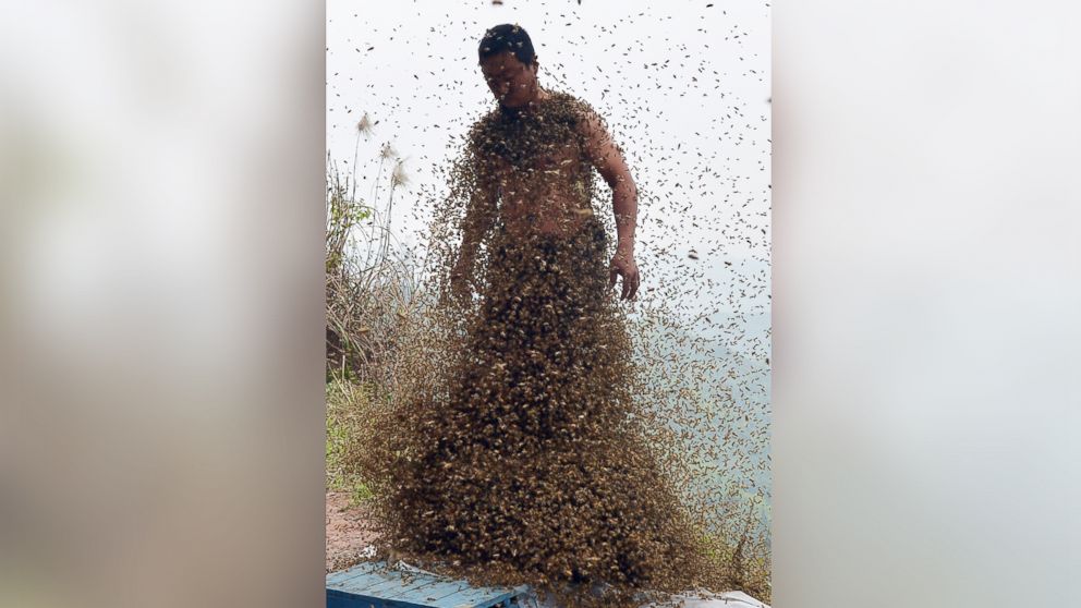 PHOTO: This picture taken on April 9, 2014 shows She Ping, a 34 year-old local beekeeper, covered with a swarm of bees on a small hill in southwest China's Chongqing.