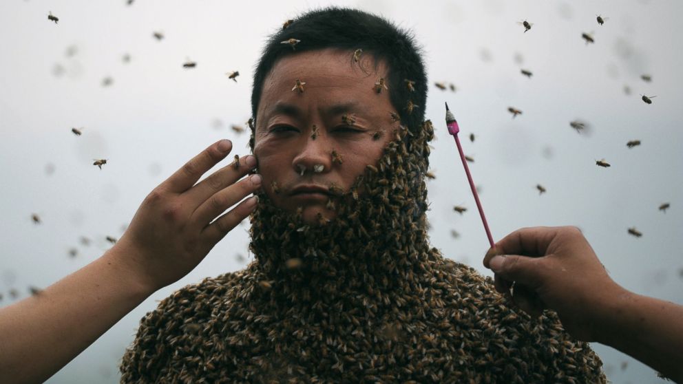 This picture taken on April 9, 2014 shows She Ping, a 34 year-old local beekeeper, covered with a swarm of bees on a small hill in southwest China's Chongqing.