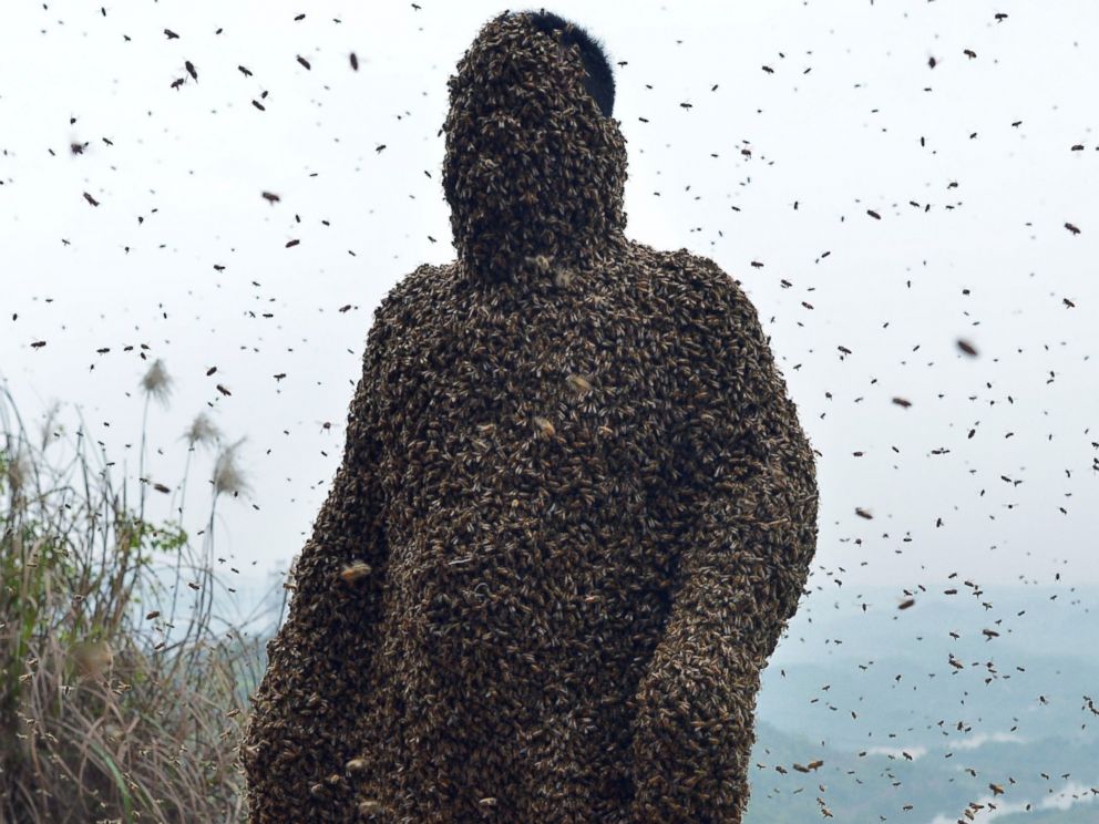 PHOTO: This picture taken on April 9, 2014 shows She Ping, a 34 year-old local beekeeper, covered with a swarm of bees on a small hill in southwest Chinas Chongqing.