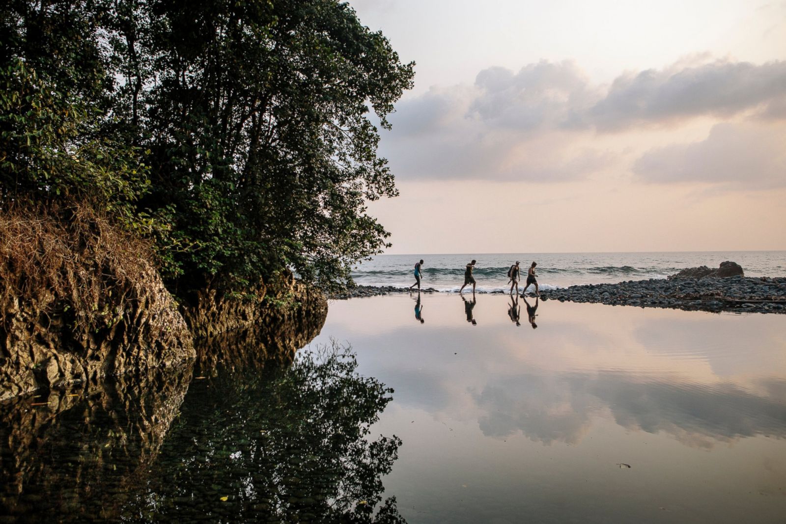 Paradise Found Rare And Elusive Birds Of Bioko Island Photos Image   HT EARTHDAY Spinski 01 Hb 170418 3x2 1600 