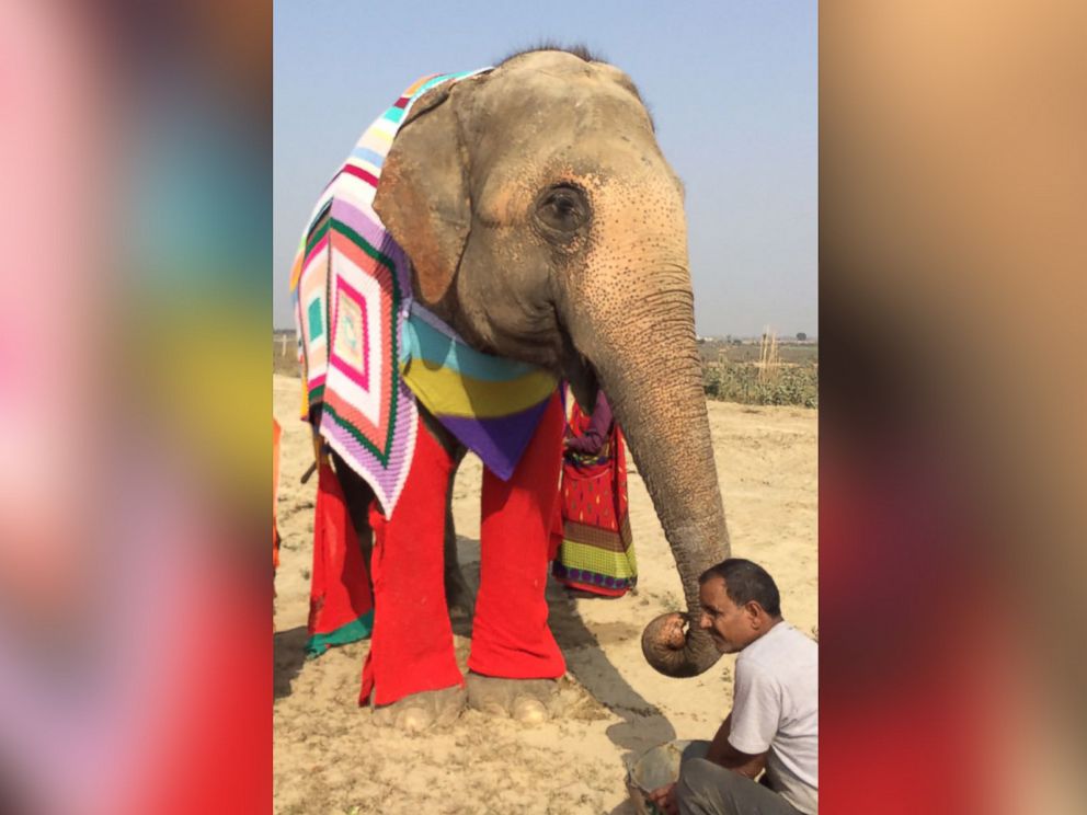 PHOTO: Wildlife SOS staff at the Elephant Conservation & Care Center in Mathura, India, created giant sweaters to keep the centers elephants warm during a cold spell in January 2017.