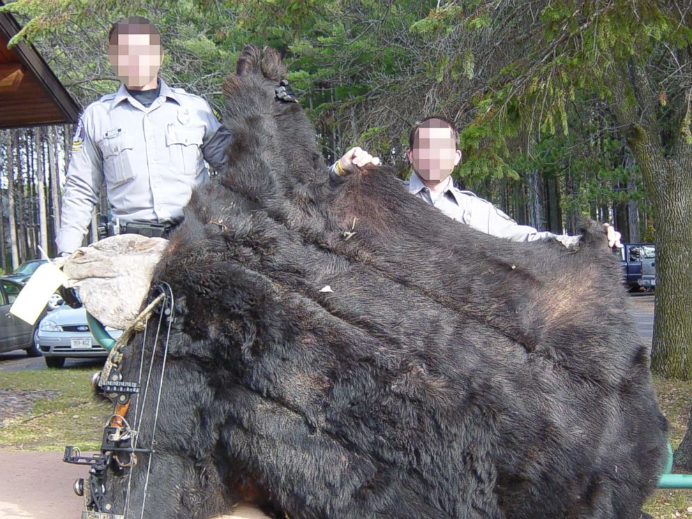 PHOTO: Wisconsin Department of Natural Resources wardens hold the remains of the black bear shot by Walter Palmer in this undated photo.