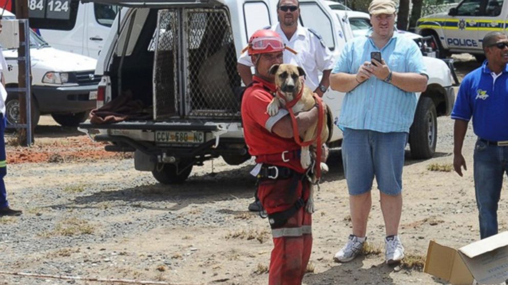 PHOTO: A pooch dubbed Underdog was rescued today after it tumbled the equivalent of 50 stories into an open pit diamond mine in South Africa.