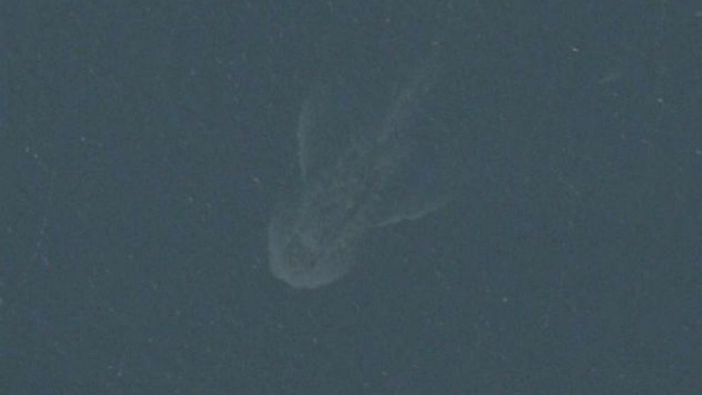 PHOTO: An image accessed using Apple's satellite map app may have provided proof that the legend of the Loch Ness monster lives on.