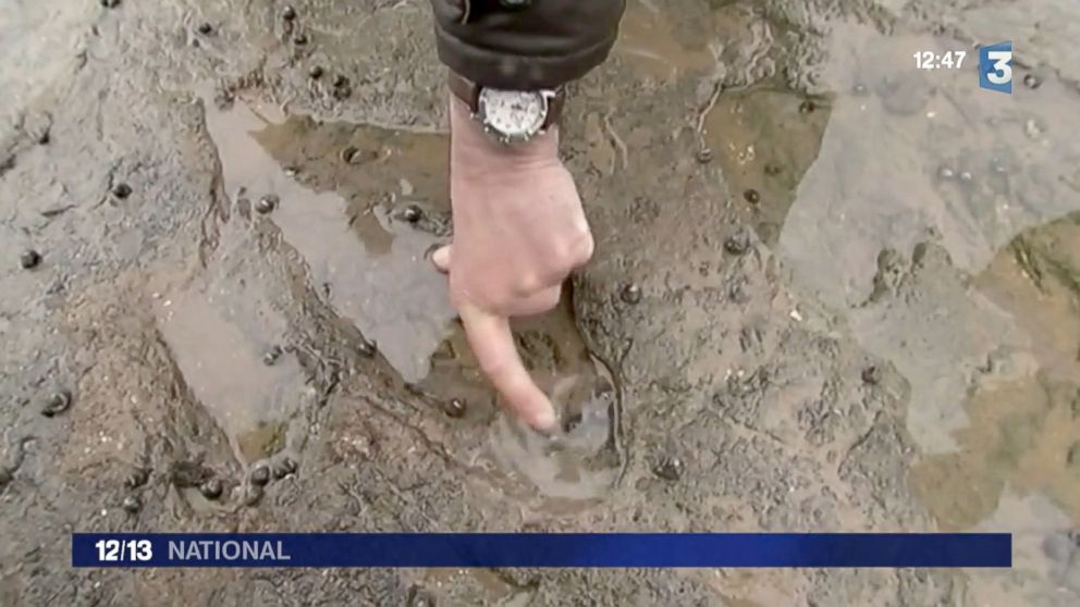 A giant tide on France's North Atlantic coast, March 21, 2015, enabled paleontologists to find hundreds of dinosaur footprints on a beach in the Western region of Vendee.