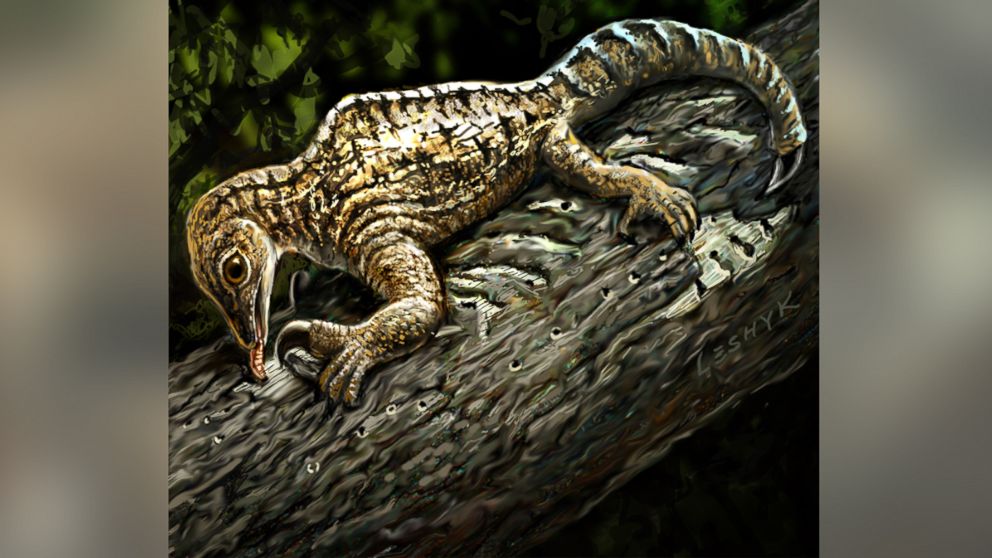 PHOTO: An illustration of a 212-million-year-old Drepanosaurus, an extinct reptile. 