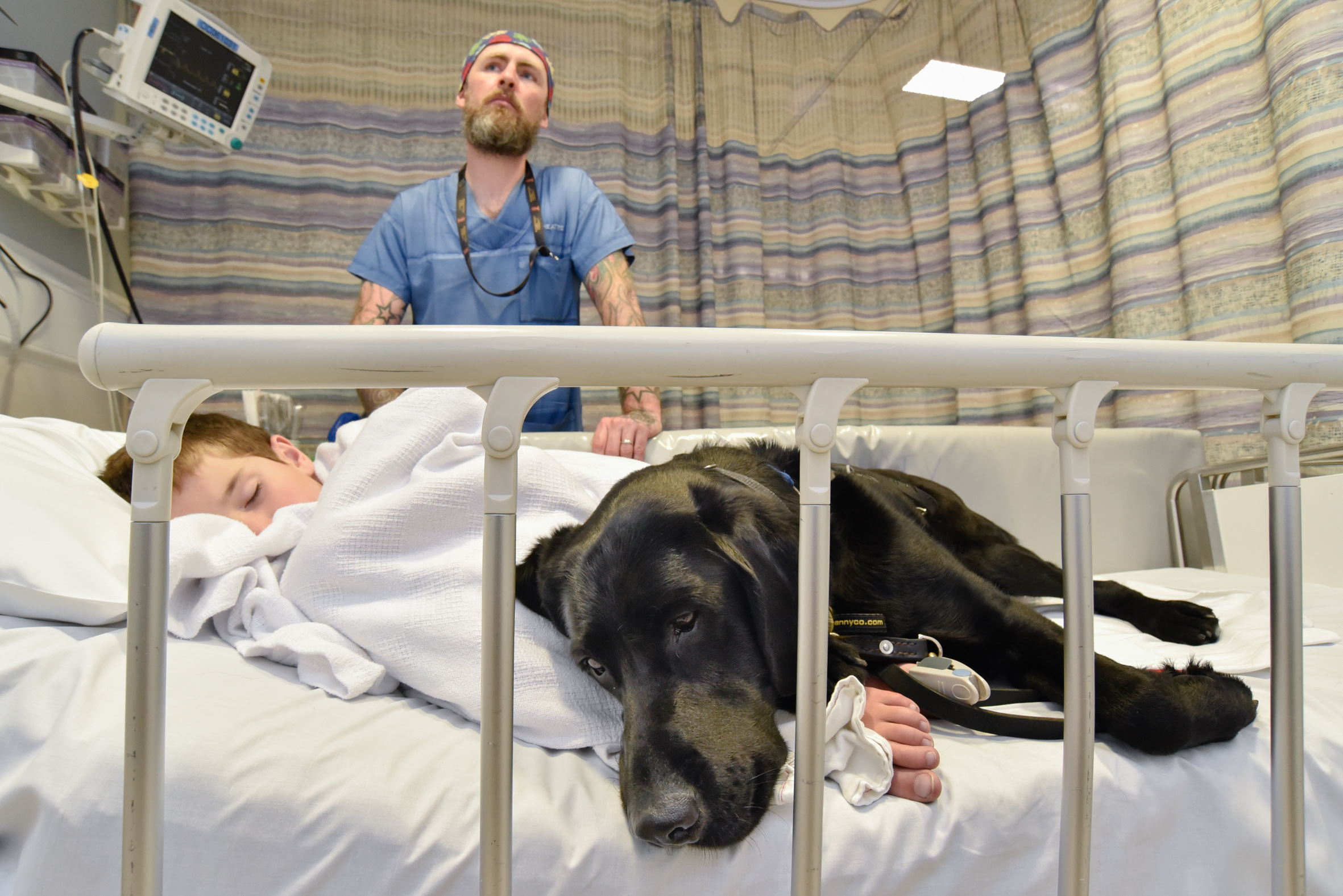 PHOTO: Mahe, an assistance dog, accompanied 9-year-old James Isaac at Wellington Children's Hospital in New Zealand, where he underwent an MRI scan to diagnose the cause of his seizures. 