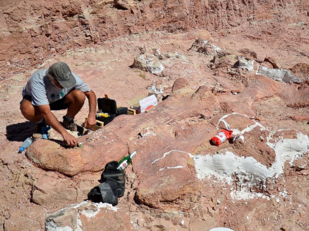 biggest dinosaur fossils ever found