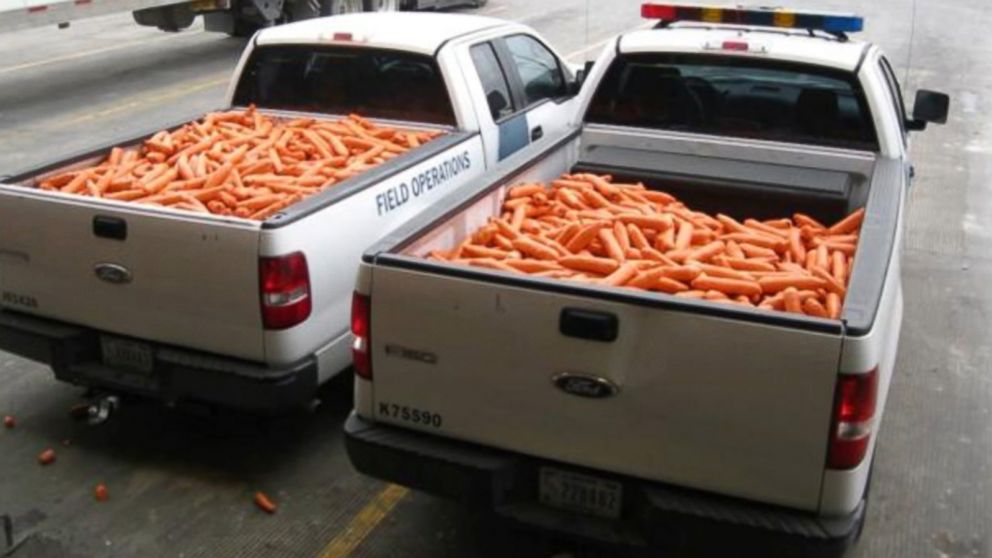 PHOTO: Carrot-shaped packages filled with pot were found among a load of real produce in south Texas.