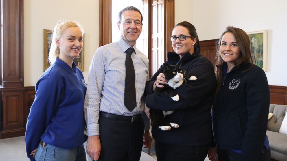 A rescued stray cat named Palmerston was adopted and named "Chief Mouser" of the UK government's Foreign and Commonwealth Office on April 13, 2016.