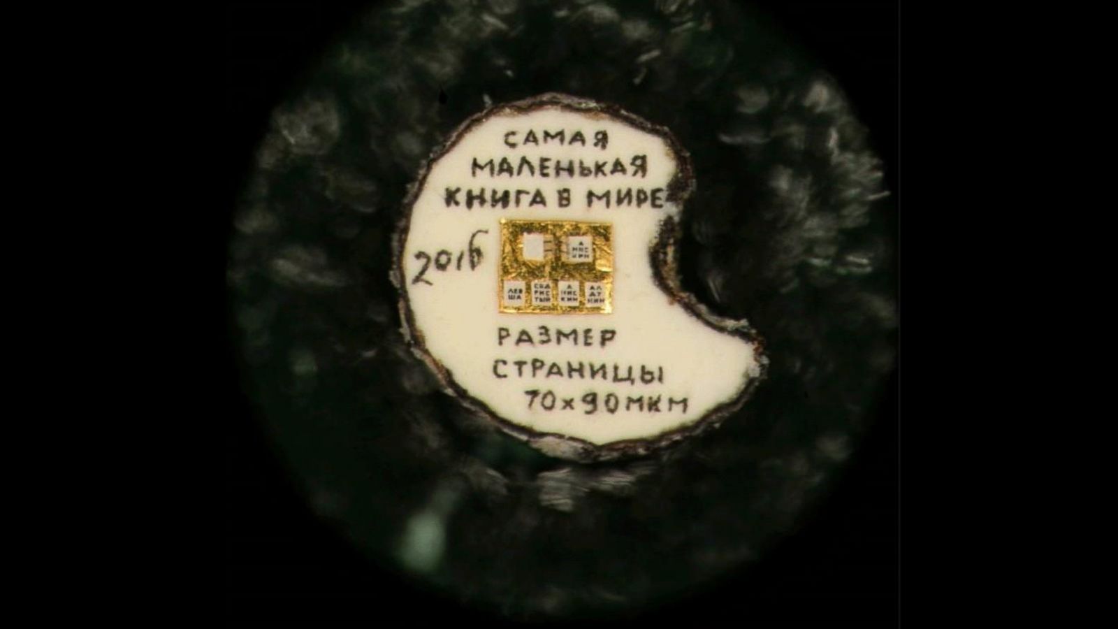 Siberian Man Claims to Have Created the World's Smallest Book