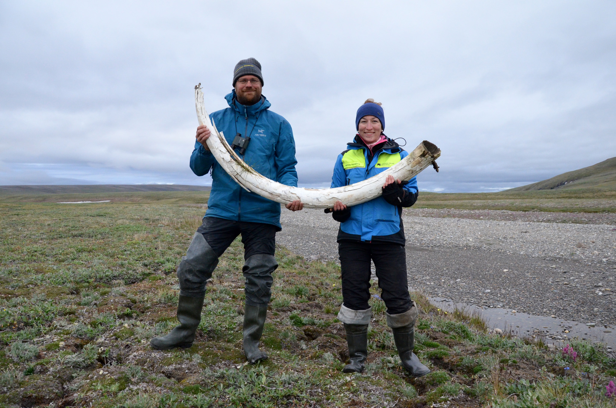 PHOTO: Love Dalén and co-lead author Patrícia Pečnerová with a mammoth tusk on Wrangel Island.