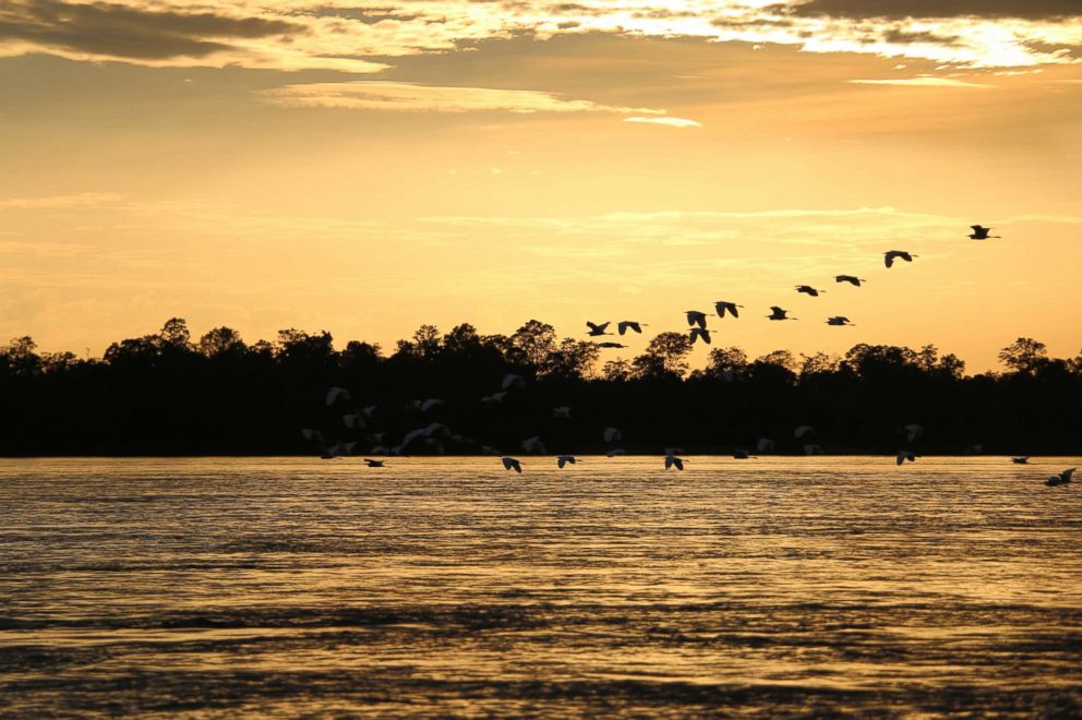 PHOTO: Birds fly over the Mekong river in Cambodia at sunset.