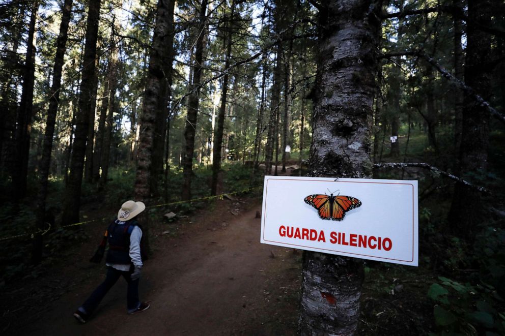 PHOTO: A guide walks past a sign reading in Spanish, "Maintain Silence," as she approaches the winter nesting grounds of monarch butterflies in El Rosario Sanctuary, near Ocampo, Michoacan state, Mexico, Jan. 31, 2020. 