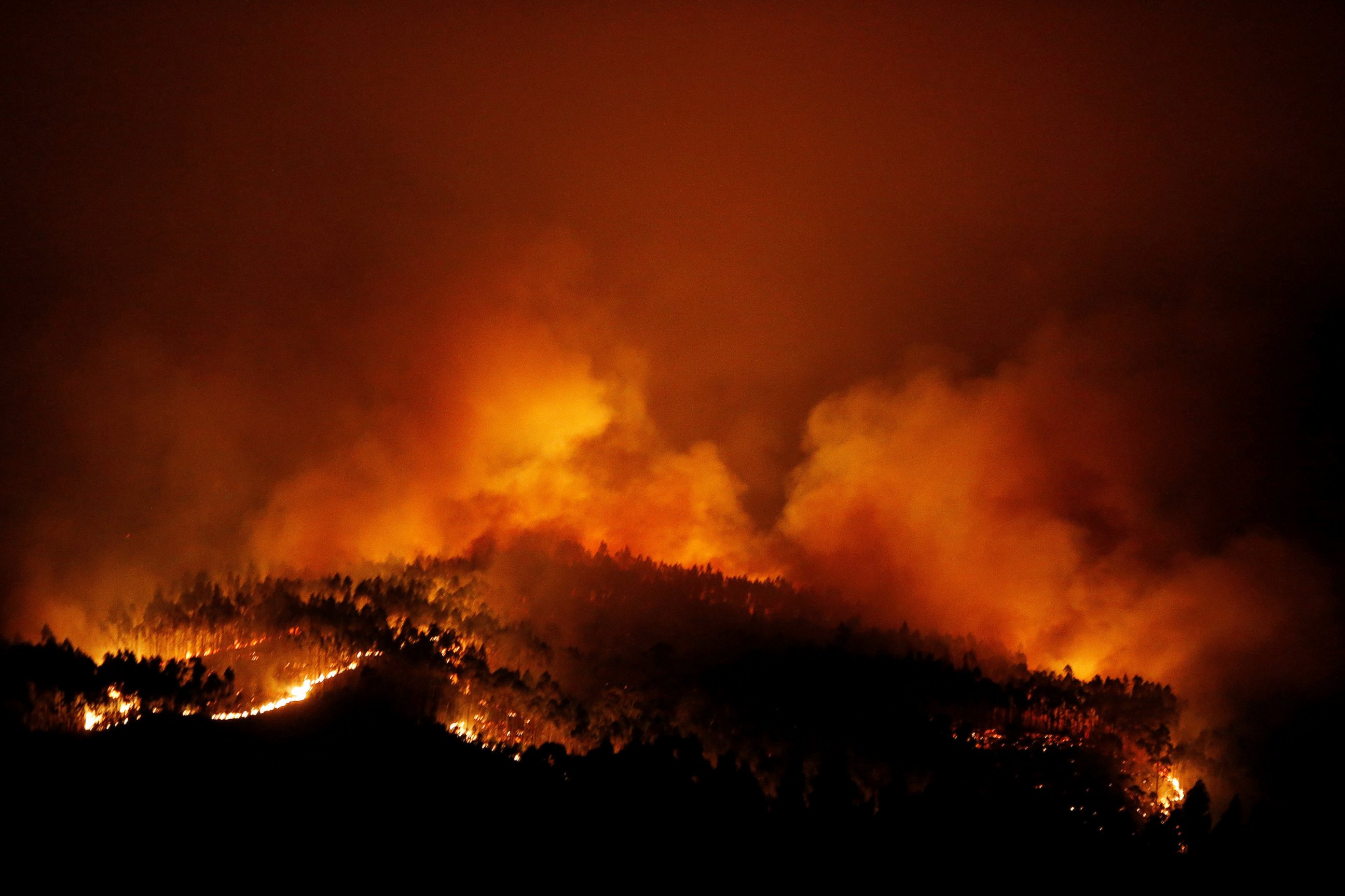 PHOTO: A forest fire is seen near Tojeira,  Pedrogao Grande, in central Portugal, June 18, 2017. 