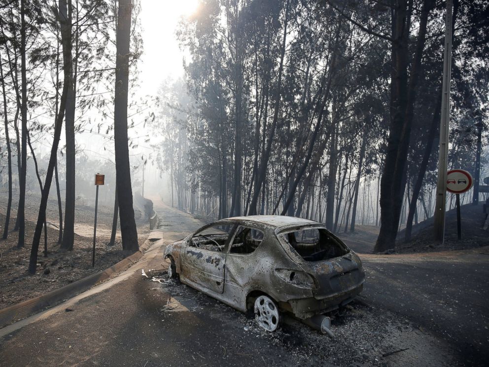 Images From Portugal Show Aftermath Of Deadly Wildfire That Killed 61   RT Portugal Fires 6 Jt 170618 4x3 992 