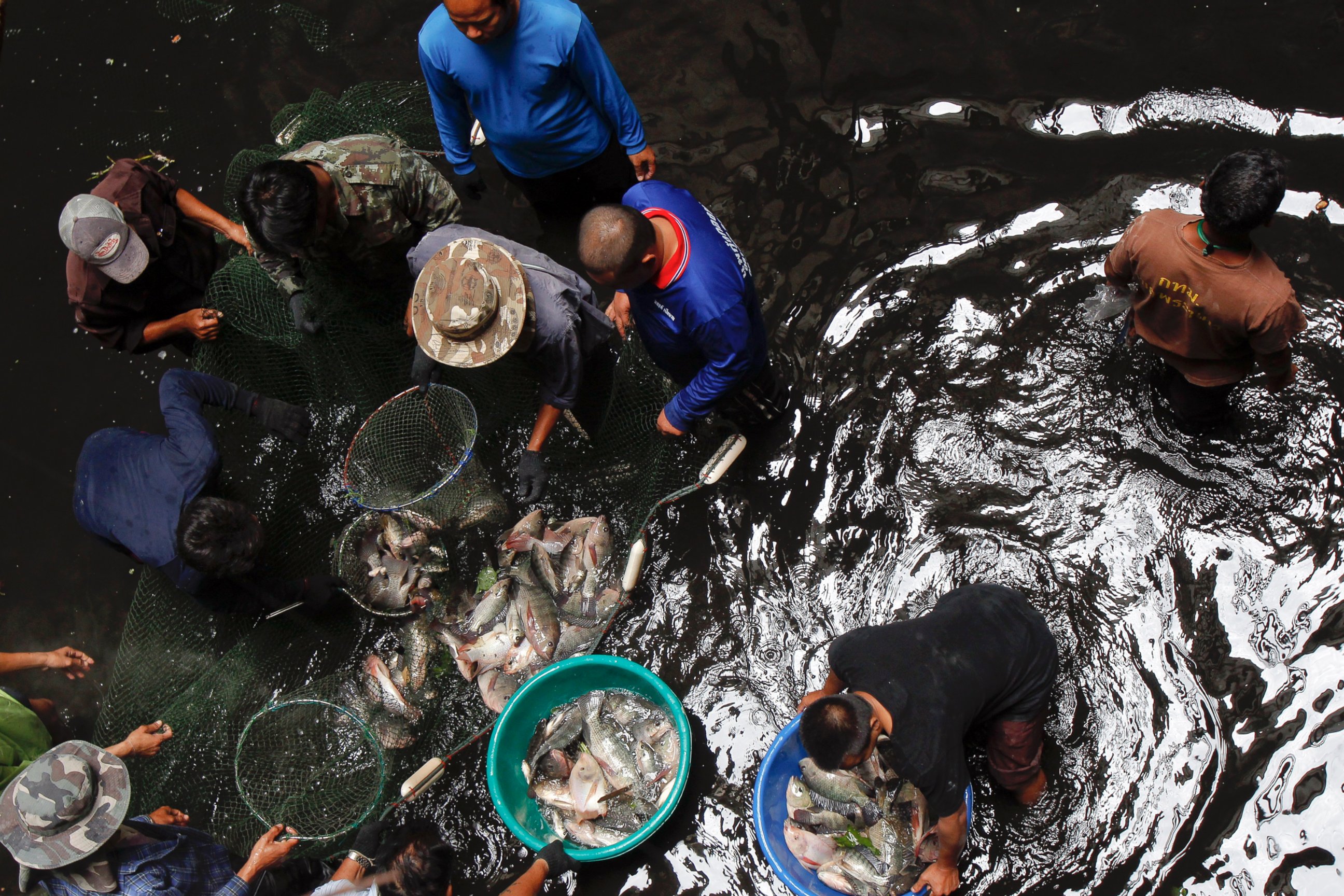 PHOTO: Workers collect fish inside an abandoned department store in Bangkok, Jan. 13, 2015.
