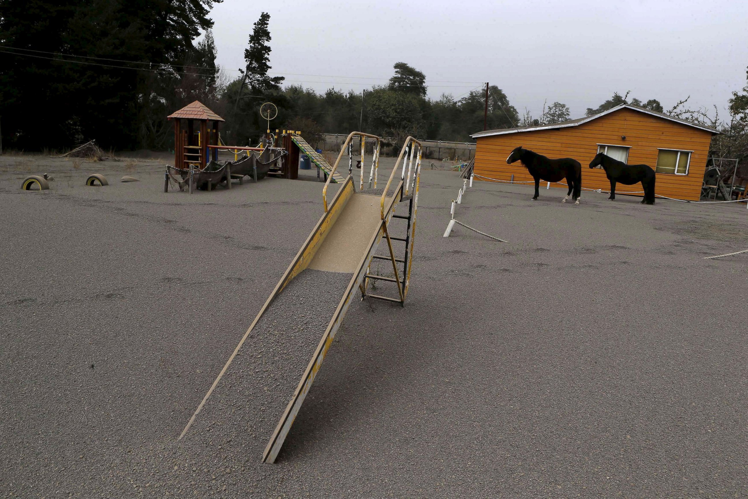 PHOTO: Horses are seen at a playground area covered with ash from Calbuco volcano at Ensenada town near Puerto Varas city April 23, 2015.