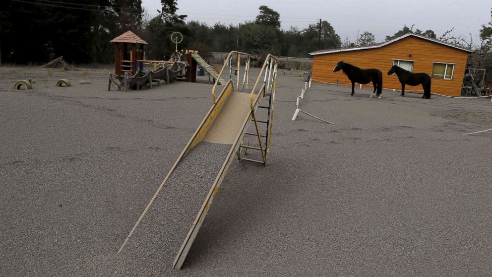 PHOTO: Horses are seen at a playground area covered with ash from Calbuco volcano at Ensenada town near Puerto Varas city April 23, 2015.