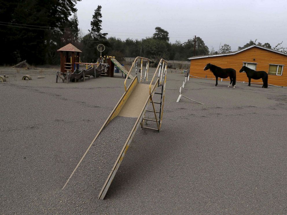 PHOTO: Horses are seen at a playground area covered with ash from Calbuco volcano at Ensenada town near Puerto Varas city April 23, 2015.