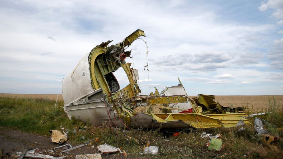 A part of the wreckage is seen at the crash site of the Malaysia Airlines Flight 17 near the village of Hrabove (Grabovo), Ukraine, July 21, 2014. 