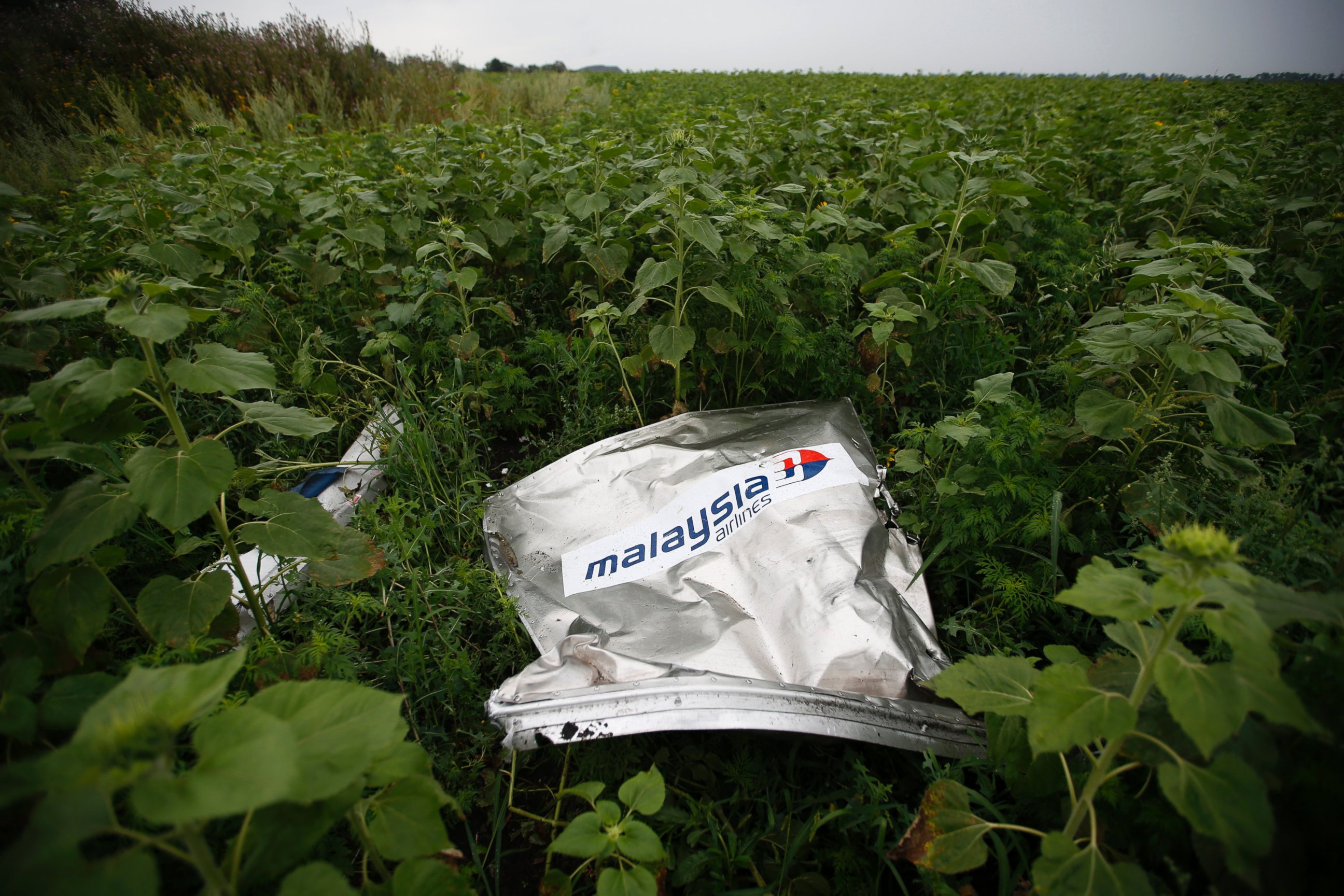 PHOTO: Debris from Malaysia Airlines Flight 17 is pictured near the village of Rozsypne, in the Donetsk region of Ukraine, on July 18, 2014.
