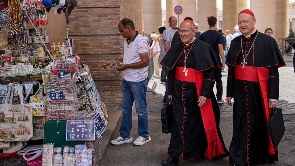 PHOTO: Cardinal Jose Tolentino de Mendonca (L) walks with Cardinal Gianfranco Ravasi at the Vatican, on May 6, 2025.