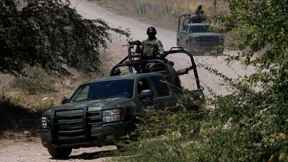 Mexican army sends anti-mine squads to cartel turf war zone