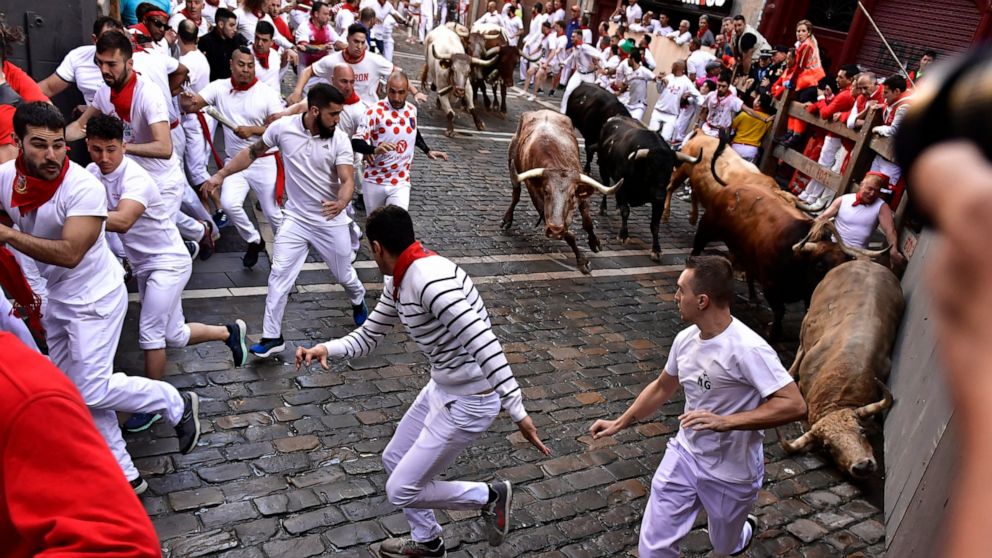 People run through the streets with fighting bulls and steers during the first day of the running of the bulls at the San Fermin Festival in Pamplona, northern Spain, Thursday, July 7, 2022. Revellers from around the world flock to Pamplona every yea
